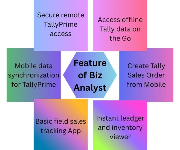 Feature of Biz Analyst
