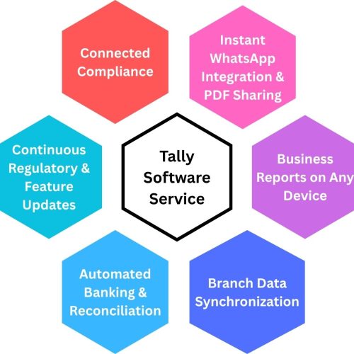 Features of Tally Software Service